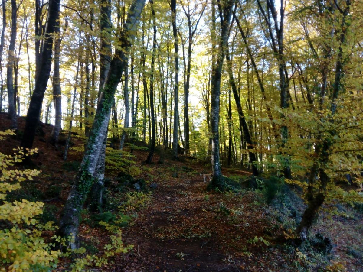 Can Pedragos Sales de Llierca Екстериор снимка